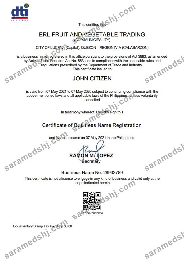 Philippines Department of Trade and Industry (DTI) private interprenour